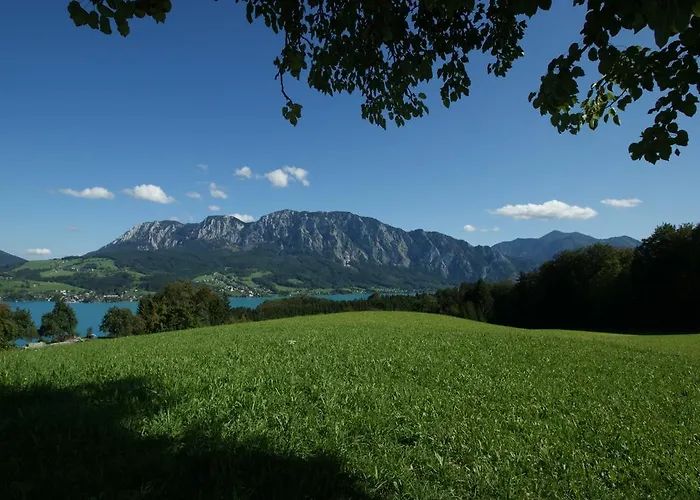 Biobauernhof Nussbaumer