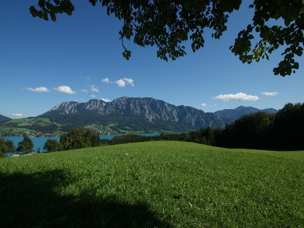 Biobauernhof Nussbaumer * Nussdorf am Attersee
